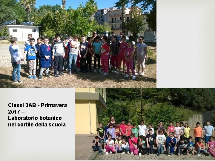 Classi 3 AB - Primavera 2017 – Laboratorio botanico nel cortile della scuola 