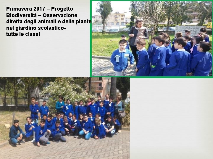 Primavera 2017 – Progetto Biodiversità – Osservazione diretta degli animali e delle piante nel