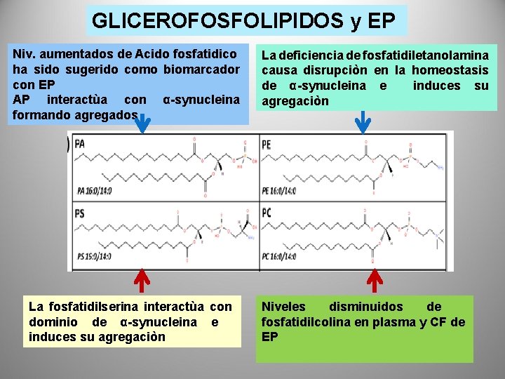 GLICEROFOSFOLIPIDOS y EP Niv. aumentados de Acido fosfatidico ha sido sugerido como biomarcador con