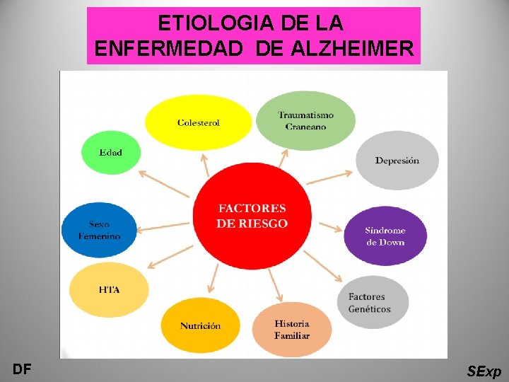 ETIOLOGIA DE LA ENFERMEDAD DE ALZHEIMER DF SExp 