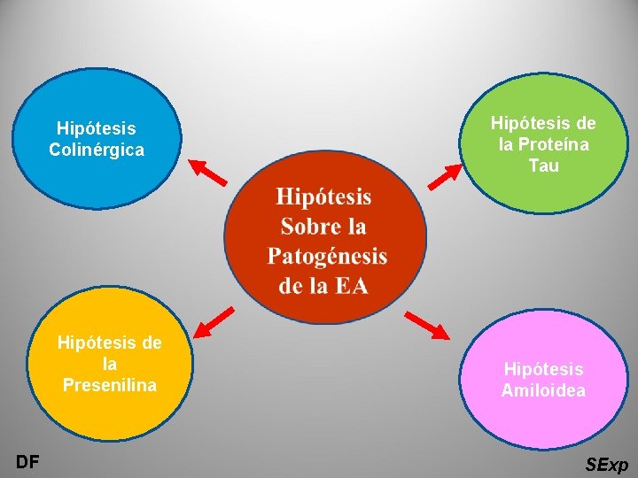 Hipótesis Colinérgica Hipótesis de la Presenilina DF Hipótesis de la Proteína Tau Hipótesis Amiloidea