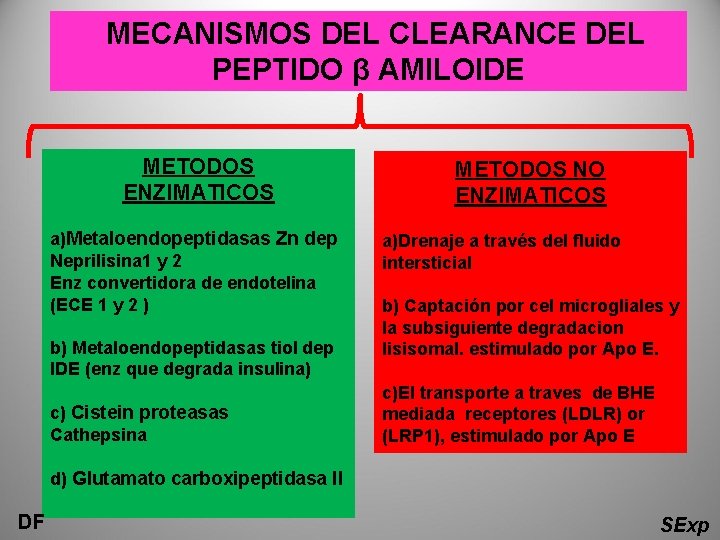 MECANISMOS DEL CLEARANCE DEL PEPTIDO β AMILOIDE METODOS ENZIMATICOS a)Metaloendopeptidasas Zn dep Neprilisina 1 MECANISMOS DEL CLEARANCE DEL PEPTIDO β AMILOIDE METODOS ENZIMATICOS a)Metaloendopeptidasas Zn dep Neprilisina 1