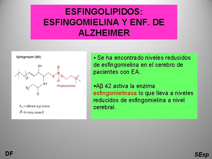 ESFINGOLIPIDOS: ESFINGOMIELINA Y ENF. DE ALZHEIMER § Se ha encontrado niveles reducidos de esfingomielina