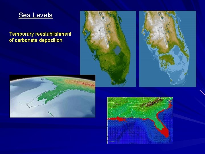 Sea Levels Temporary reestablishment of carbonate deposition 