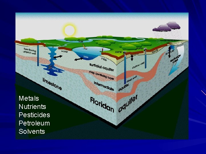 Metals Nutrients Pesticides Petroleum Solvents 