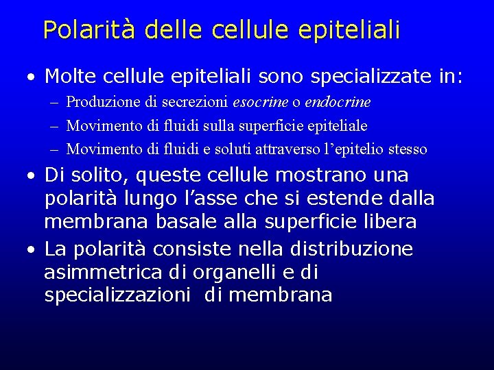 Polarità delle cellule epiteliali • Molte cellule epiteliali sono specializzate in: – Produzione di