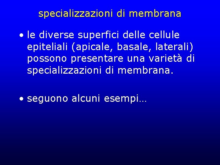 specializzazioni di membrana • le diverse superfici delle cellule epiteliali (apicale, basale, laterali) possono