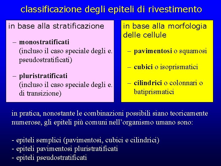 classificazione degli epiteli di rivestimento in base alla stratificazione – monostratificati (incluso il caso