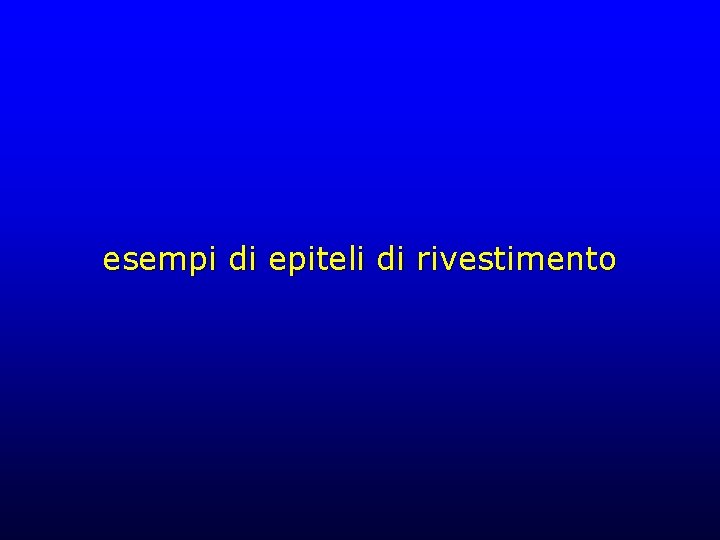 esempi di epiteli di rivestimento 