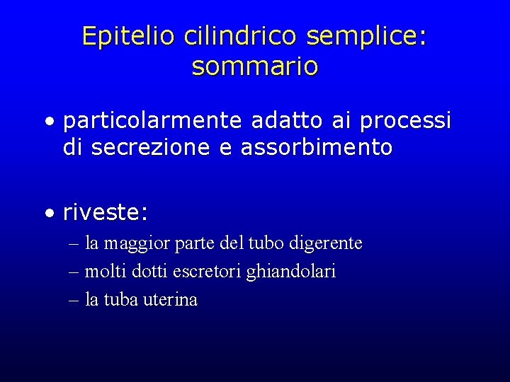 Epitelio cilindrico semplice: sommario • particolarmente adatto ai processi di secrezione e assorbimento •