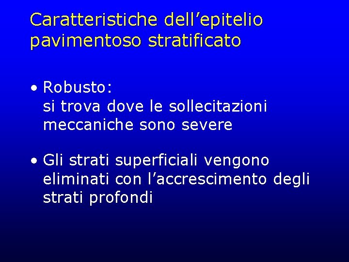 Caratteristiche dell’epitelio pavimentoso stratificato • Robusto: si trova dove le sollecitazioni meccaniche sono severe