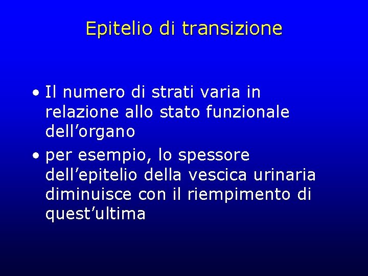 Epitelio di transizione • Il numero di strati varia in relazione allo stato funzionale