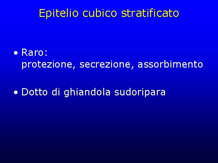 Epitelio cubico stratificato • Raro: protezione, secrezione, assorbimento • Dotto di ghiandola sudoripara 