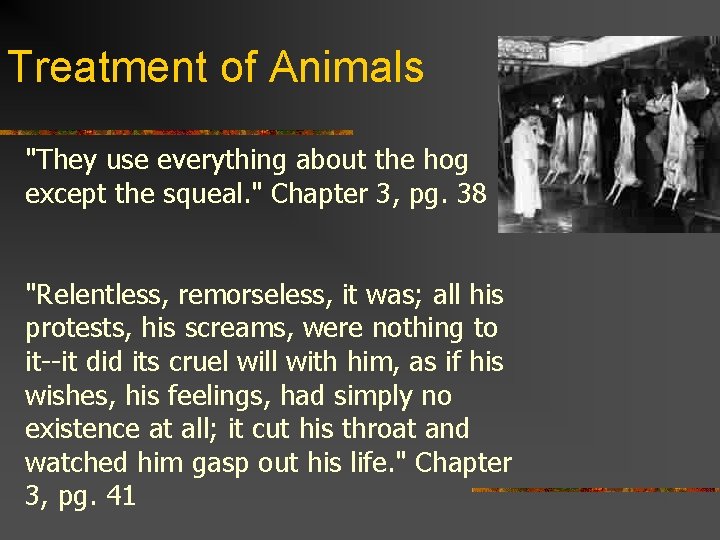 Treatment of Animals "They use everything about the hog except the squeal. " Chapter