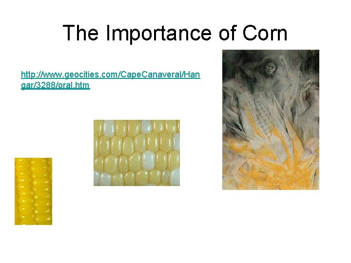 The Importance of Corn http: //www. geocities. com/Cape. Canaveral/Han gar/3288/oral. htm 