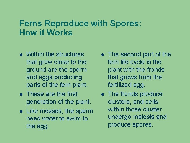 Ferns Reproduce with Spores: How it Works Within the structures that grow close to Ferns Reproduce with Spores: How it Works Within the structures that grow close to