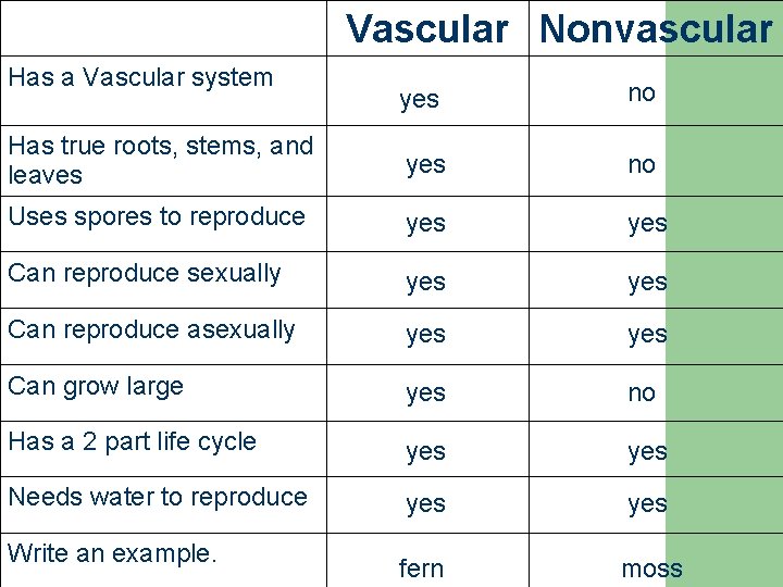 Vascular Nonvascular Has a Vascular system yes no Has true roots, stems, and leaves