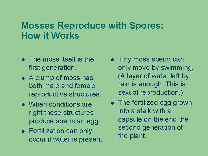 Mosses Reproduce with Spores: How it Works The moss itself is the first generation.