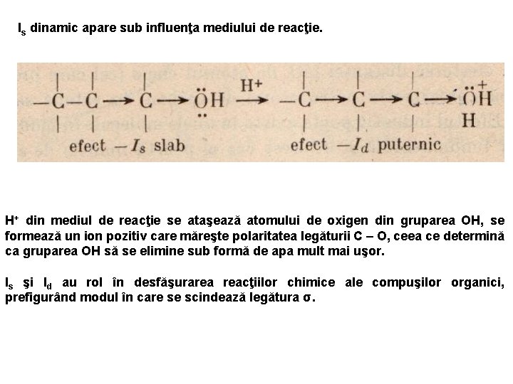 Is dinamic apare sub influenţa mediului de reacţie. H+ din mediul de reacţie se