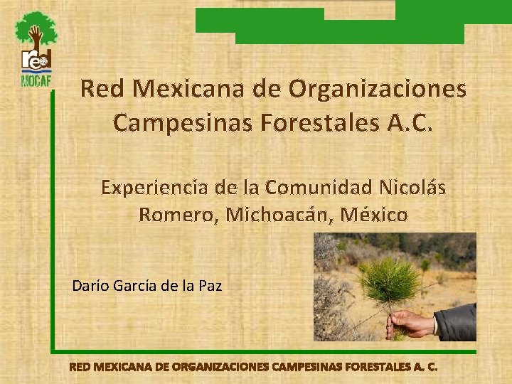 Red Mexicana de Organizaciones Campesinas Forestales A. C. Experiencia de la Comunidad Nicolás Romero,