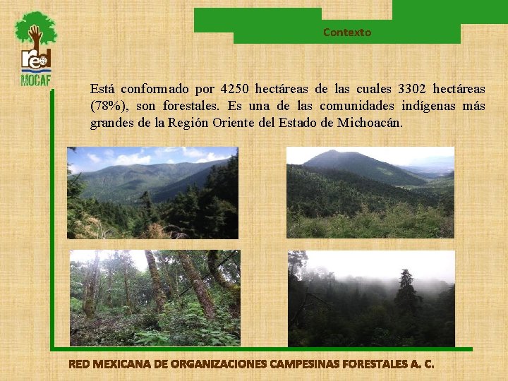 Contexto Está conformado por 4250 hectáreas de las cuales 3302 hectáreas (78%), son forestales.