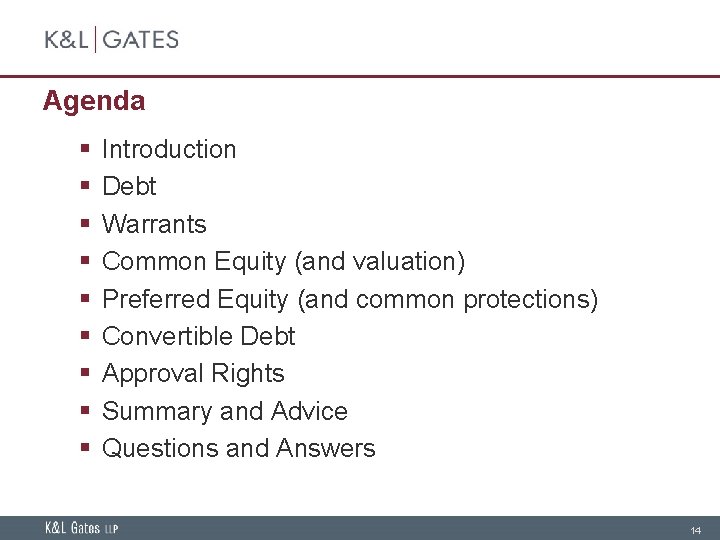 Agenda § § § § § Introduction Debt Warrants Common Equity (and valuation) Preferred