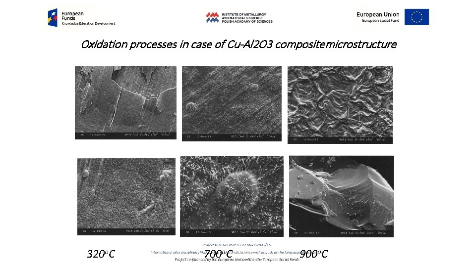 Oxidation processes in case of Cu-Al 2 O 3 compositemicrostructure 320 o. C 700