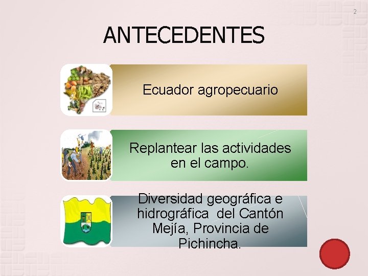 2 ANTECEDENTES Ecuador agropecuario Replantear las actividades en el campo. Diversidad geográfica e hidrográfica