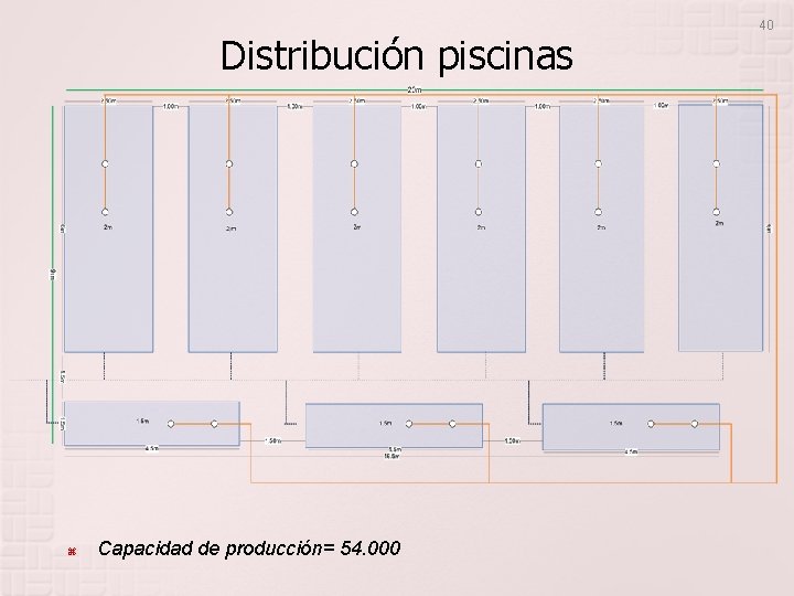 Distribución piscinas Capacidad de producción= 54. 000 40 