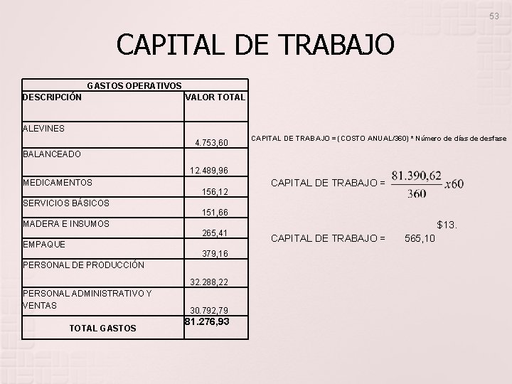 53 CAPITAL DE TRABAJO GASTOS OPERATIVOS DESCRIPCIÓN VALOR TOTAL ALEVINES 4. 753, 60 CAPITAL