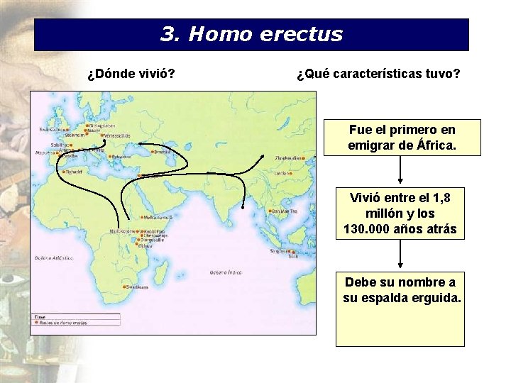 3. Homo erectus ¿Dónde vivió? ¿Qué características tuvo? . Fue el primero en emigrar