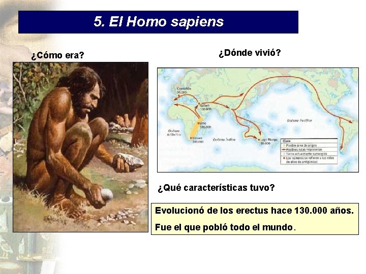 5. El Homo sapiens ¿Cómo era? ¿Dónde vivió? ¿Qué características tuvo? Evolucionó de los