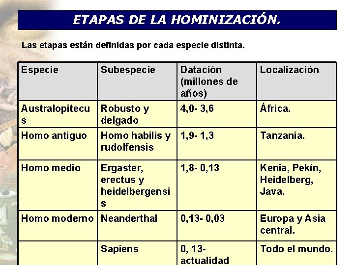 ETAPAS DE LA HOMINIZACIÓN. Las etapas están definidas por cada especie distinta. Especie Subespecie