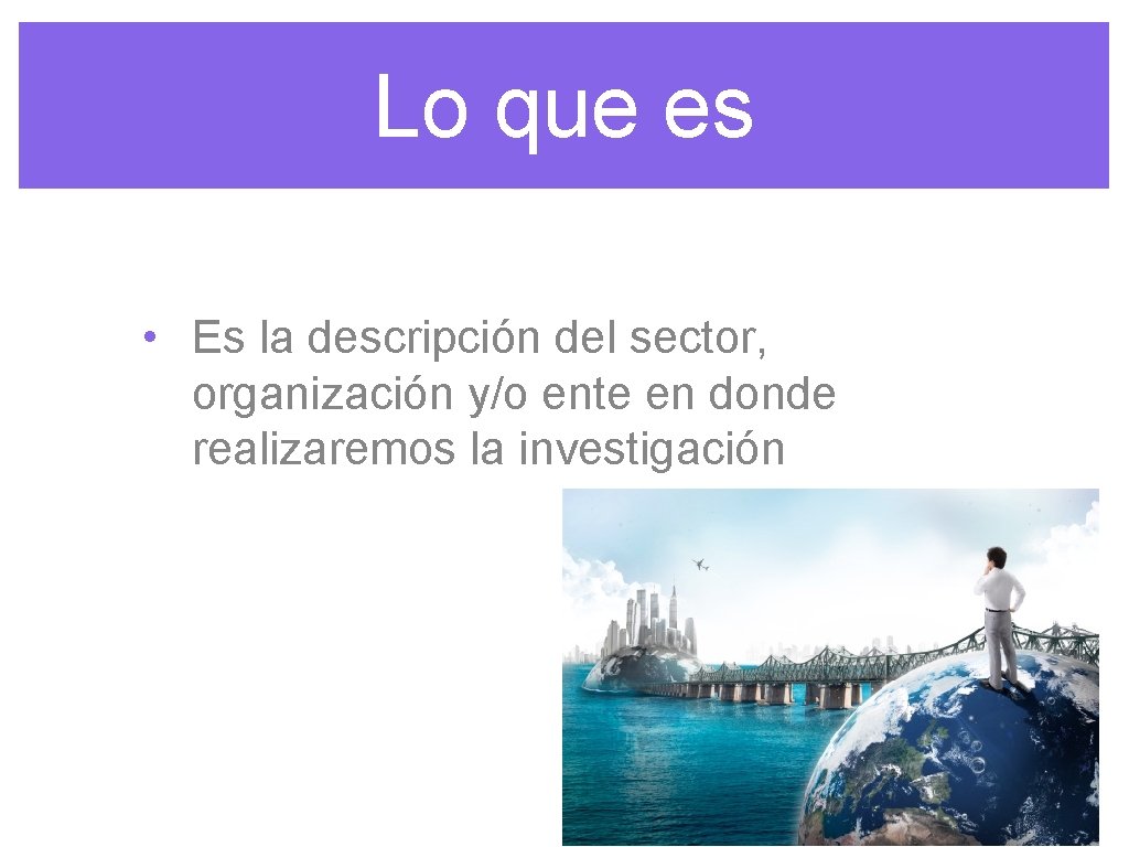 Lo que es • Es la descripción del sector, organización y/o ente en donde