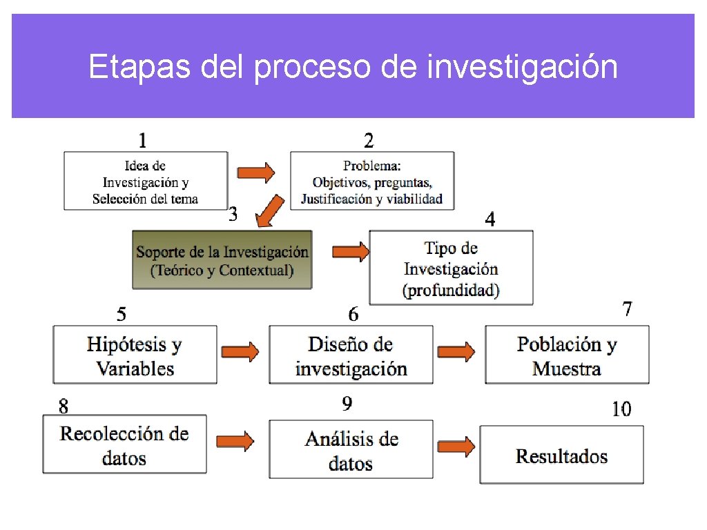Etapas del proceso de investigación 