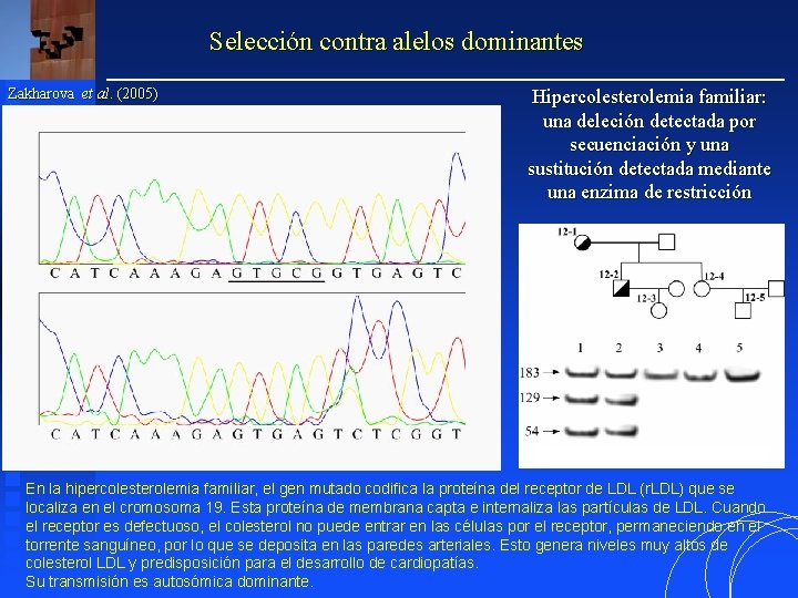 Selección contra alelos dominantes Zakharova et al. (2005) Hipercolesterolemia familiar: una deleción detectada por