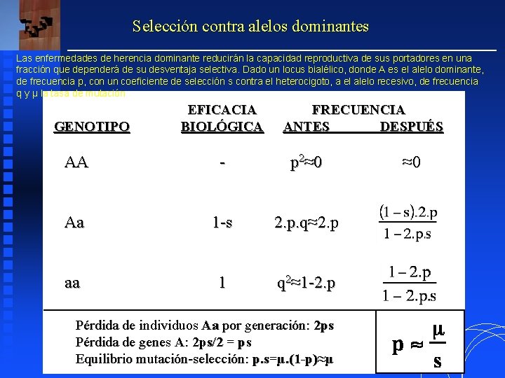 Selección contra alelos dominantes Las enfermedades de herencia dominante reducirán la capacidad reproductiva de