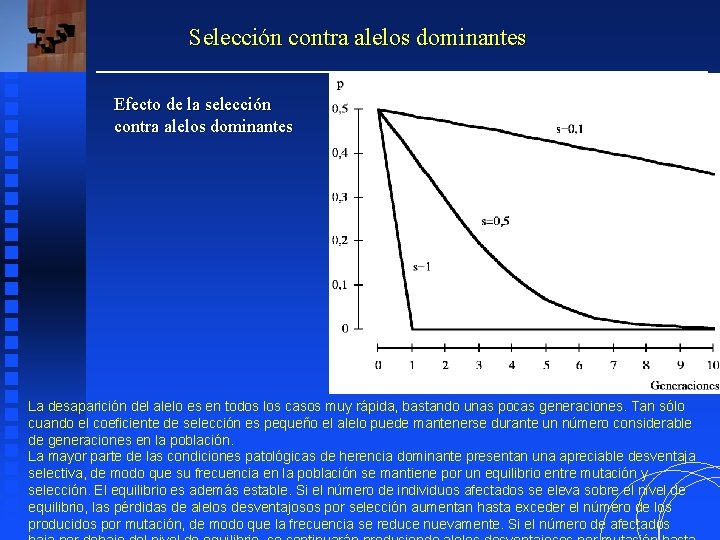 Selección contra alelos dominantes Efecto de la selección contra alelos dominantes La desaparición del