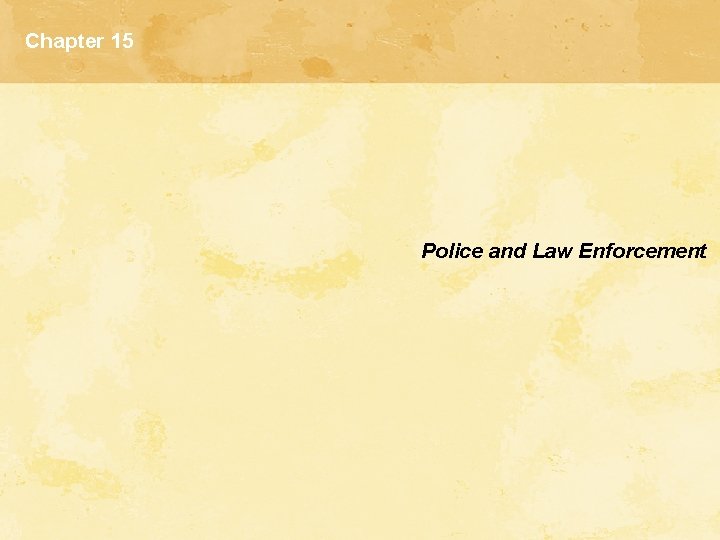 Chapter 15 Police and Law Enforcement 