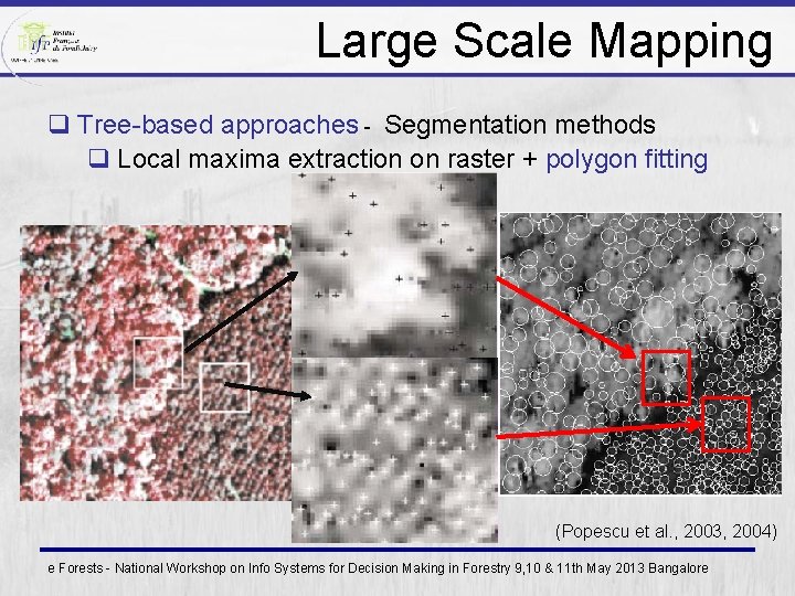 Large Scale Mapping q Tree-based approaches - Segmentation methods q Local maxima extraction on