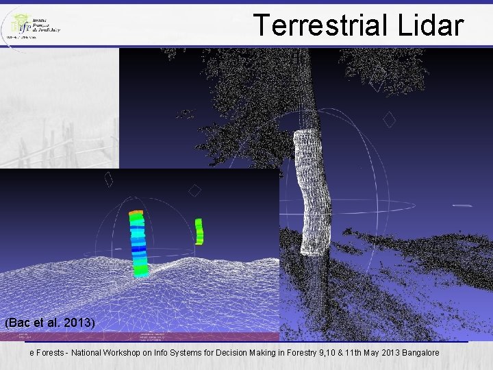Terrestrial Lidar (Bac et al. 2013) e Forests - National Workshop on Info Systems