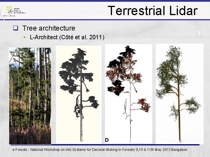 Terrestrial Lidar q Tree architecture § L-Architect (Côté et al. 2011) e Forests -