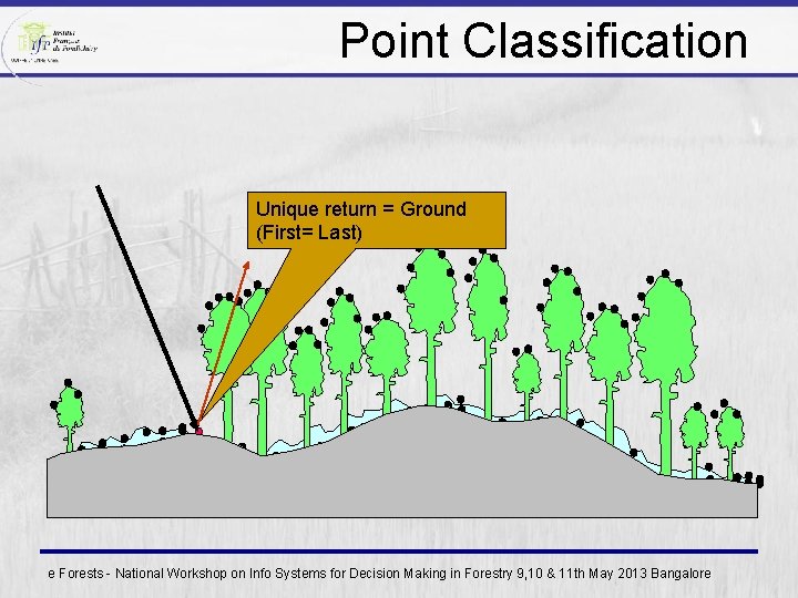 Point Classification Unique return = Ground (First= Last) e Forests - National Workshop on