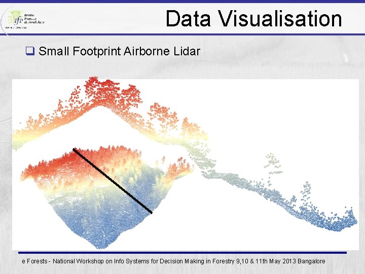 Data Visualisation q Small Footprint Airborne Lidar e Forests - National Workshop on Info