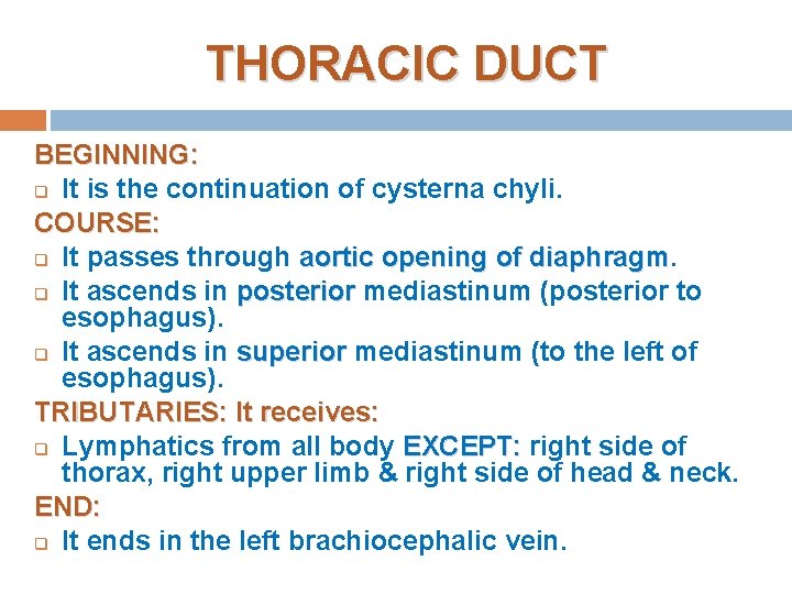 THORACIC DUCT BEGINNING: q It is the continuation of cysterna chyli. COURSE: q It THORACIC DUCT BEGINNING: q It is the continuation of cysterna chyli. COURSE: q It