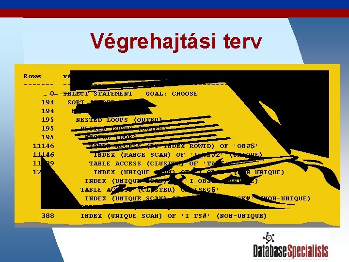 Végrehajtási terv Rows ------0 194 195 195 11146 11339 12665 33 193 387 194