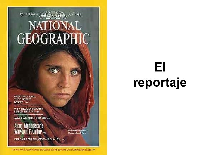 El reportaje 