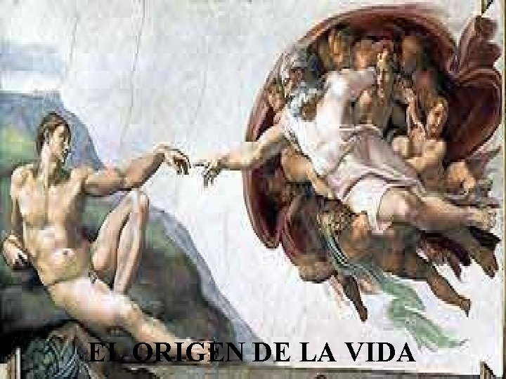 EL ORIGEN DE LA VIDA 