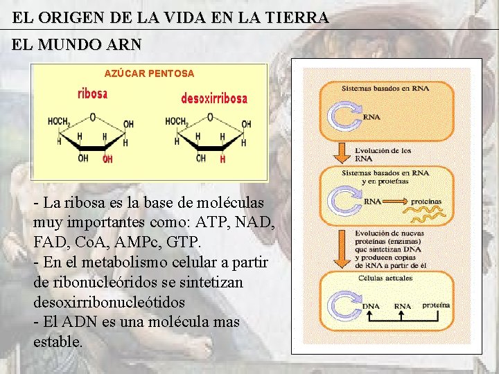 EL ORIGEN DE LA VIDA EN LA TIERRA EL MUNDO ARN AZÚCAR PENTOSA -