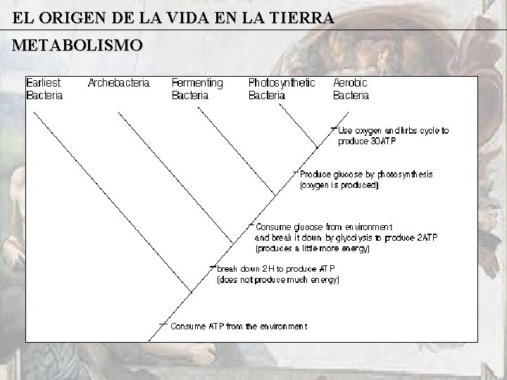 EL ORIGEN DE LA VIDA EN LA TIERRA METABOLISMO 